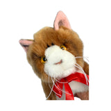 Close-up face of Kitten Tabby plush toy