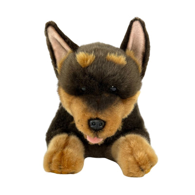 Gismo (Kelpie - 28cm floppy)