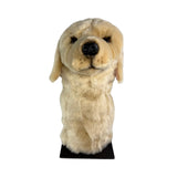 Golden Retriever golf cover