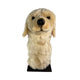 Golden Retriever golf cover