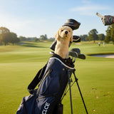 Golden Retriever golf cover on golf course