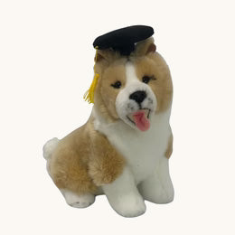 Graduation Plushies