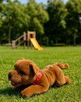 Lying Gravy brown Staffy plush toy outdoors