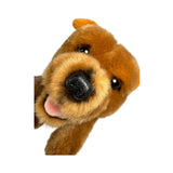 Lying Gravy brown Staffy plush close up
