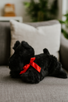 Haggis (Scottish Terrier - 28cm floppy)
