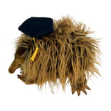 Harry echidna plush in a graduation hat top view