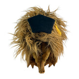 Harry echidna plush toy in a graduation hat