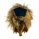 Harry echidna plush toy in a graduation hat