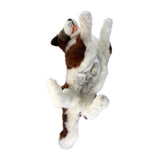 Lying Hazel chocolate Border Collie plush with satin pouch