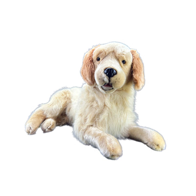 Spencer (Golden Retriever - 62cm lying)