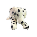 Denzel Dalmatian plush toy dog close-up front view