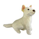 White dingo figurine on a white background