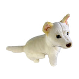 White plush dingo toy on a white background