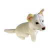 Ivory - Dingo - 25cm sitting, white