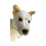 White stuffed animal head with brown nose and black eyes on a white background