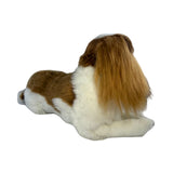 Lying Izzy Cavalier King Charles Spaniel 