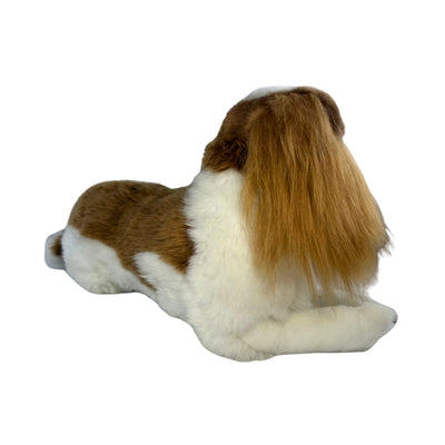 Lying Izzy Cavalier King Charles Spaniel 