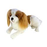 Izzy Cavalier King Charles Spaniel lying