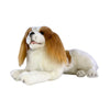 Izzy Cavalier King Charles Spaniel lying