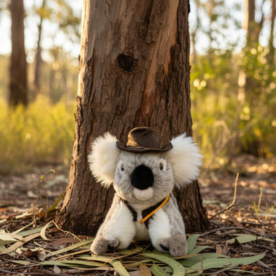 Jack - Koala with swag & hat - 12cm sitting
