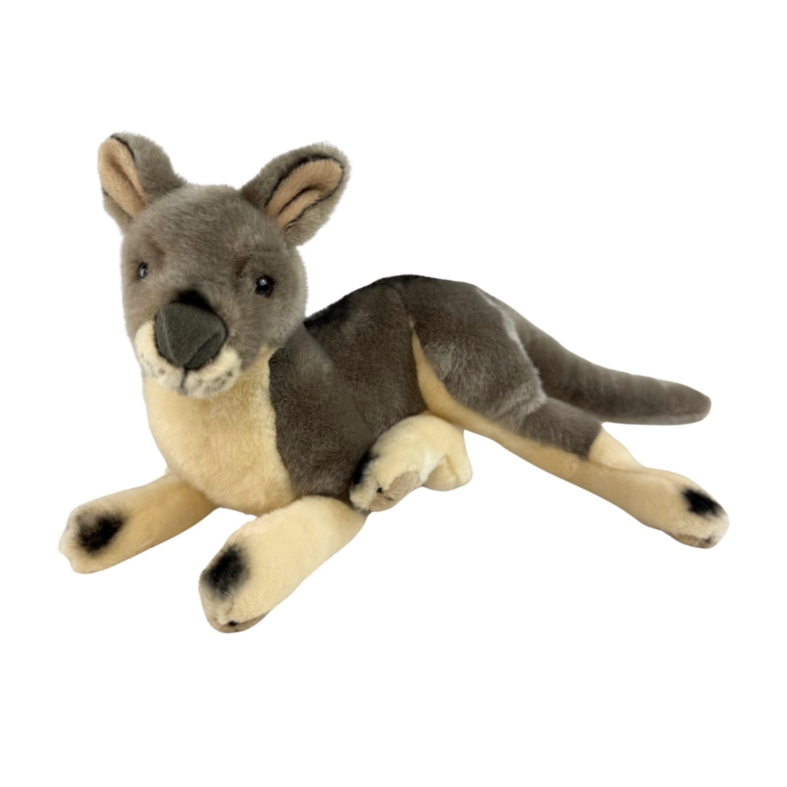 Plush toy kangaroo on a white background