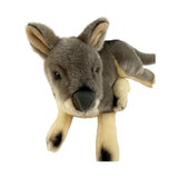 Plush toy kangaroo on a white background