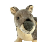 Plush toy kangaroo on a white background