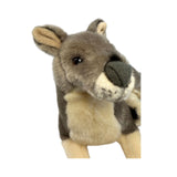 Plush toy kangaroo on a white background