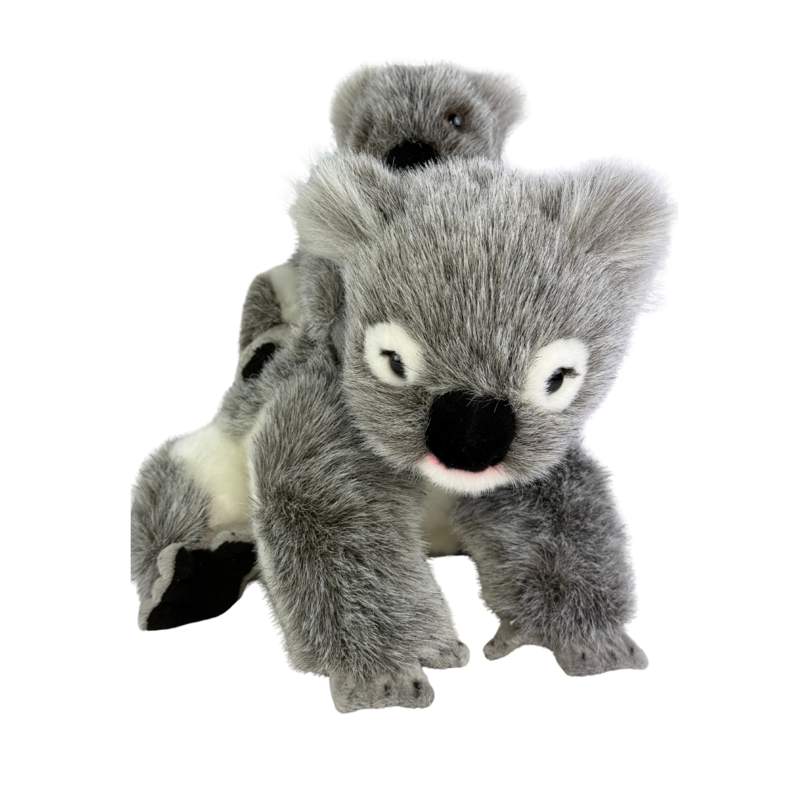 Plush toy koala on a white background
