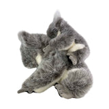 Plush toy koala on a white background