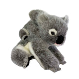 Plush toy koala on a white background