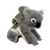 Plush toy koala on a white background