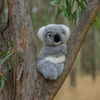 Kimmy (Hand Puppet Koala - 24cm)