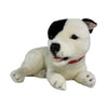 Loki (Staffy - 35cm lying, white with black patch)