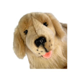 Lucky Golden Retriever plush close up face