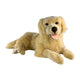 Lying Luna Golden Retriever plush with satin pocket