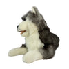 Madison (Husky - 40cm lying)