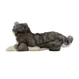Madison Siberian Husky lying side view