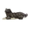 Madison (Husky - 40cm lying)