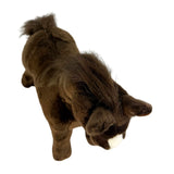 Makybe Arabian Horse plush top view
