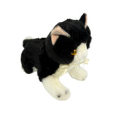 Mango Piebald kitten plush angle view