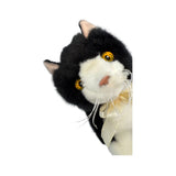Mango Piebald kitten plush close up face