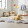 Maple Golden Retriever puppy plush indoors