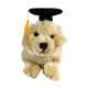 Maple Golden Retriever plush wearing graduation hat