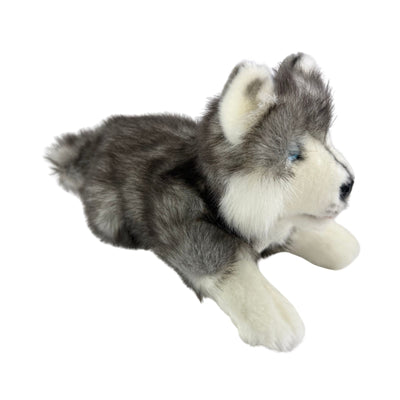 Marbles (Husky - 28cm floppy)