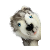 Marbles Siberian Husky puppy plush close up face