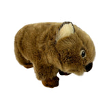 Plush toy of a Wombat on a white background
