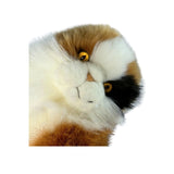 Marmalade Calico cat plush close up face