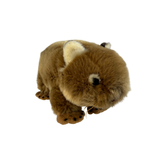 Plush toy Wombat on a white background