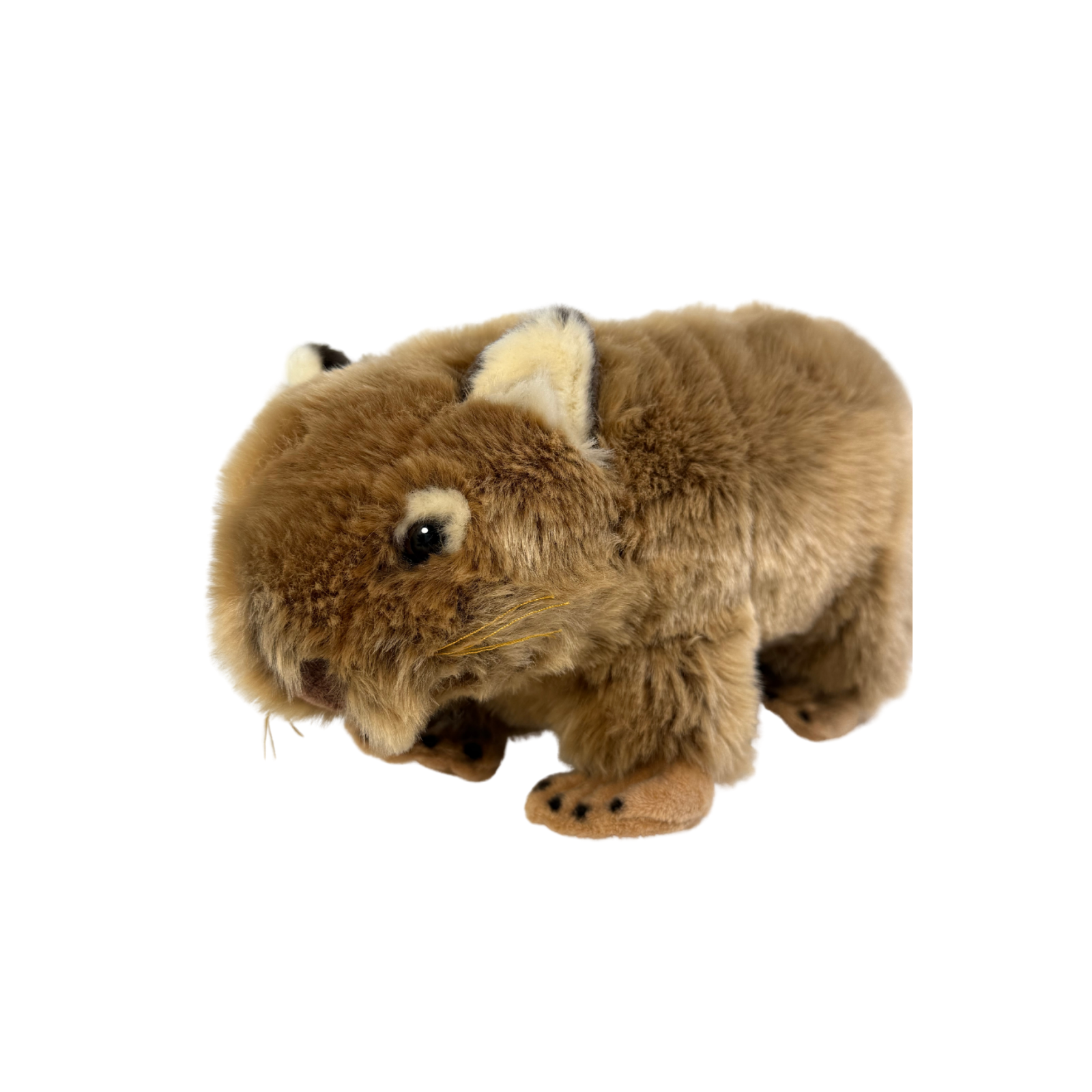 Plush toy wombat on a white background